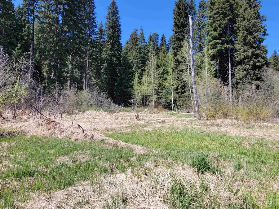 1602 Bear Trail Loop, Donnelly, ID 83615 - #3