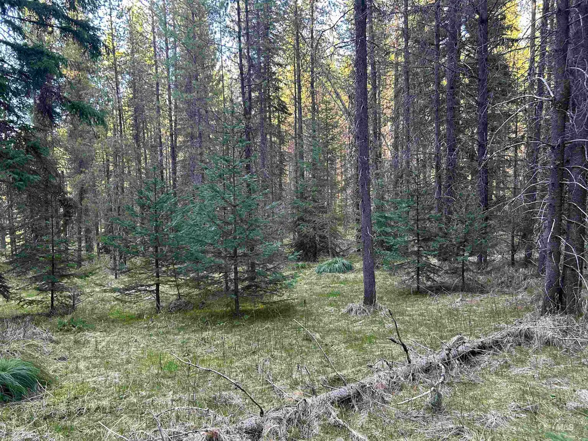 162 Coopers Lane, Elk City, ID 83525 - #1