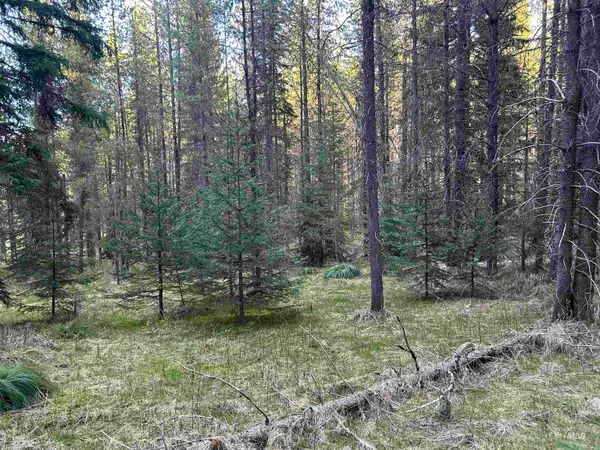 162 Coopers Lane, Elk City, ID 83525