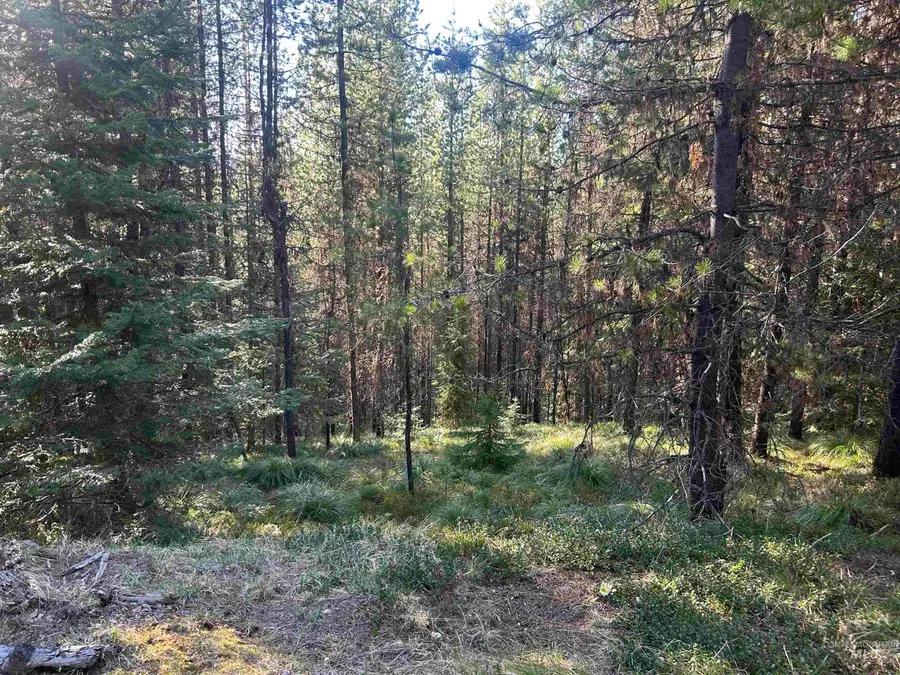 162 Coopers Lane, Elk City, ID 83525 - #2