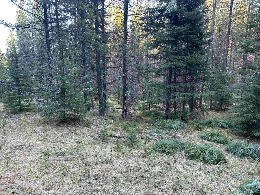 162 Coopers Lane, Elk City, ID 83525 - #3