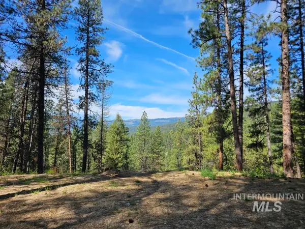 17 Thunder Rd, Garden Valley, ID 83622