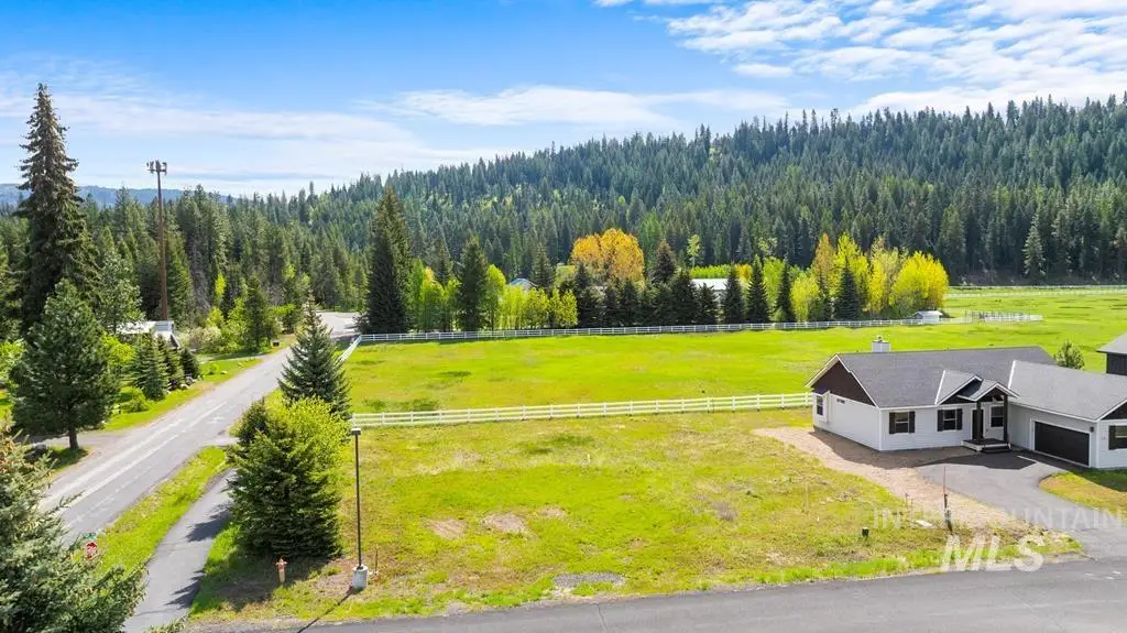 1119 Swanie Way, McCall, ID 83638 - #1