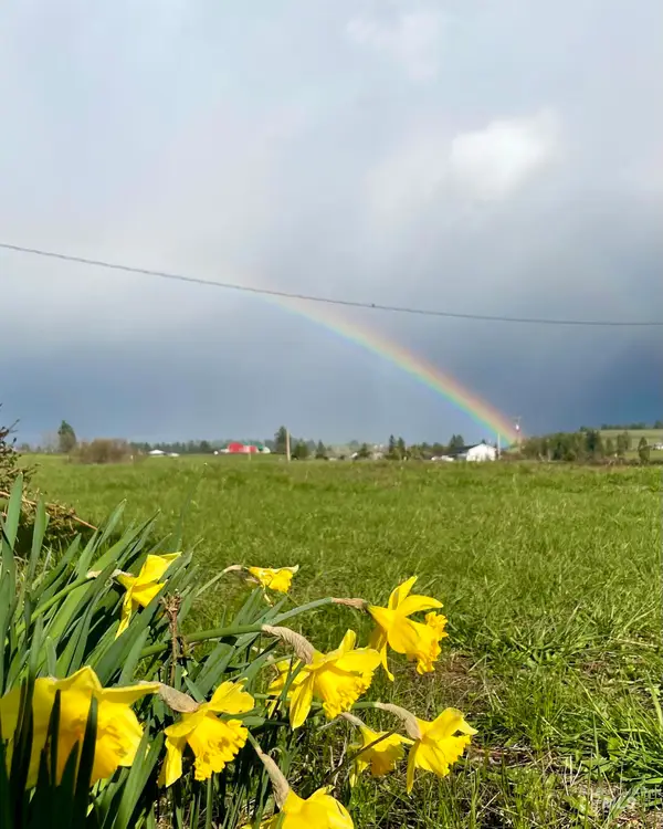 637 Leitch Creek Rd #(+ 5AC Touch of Country Estates), Kooskia, ID 83539
