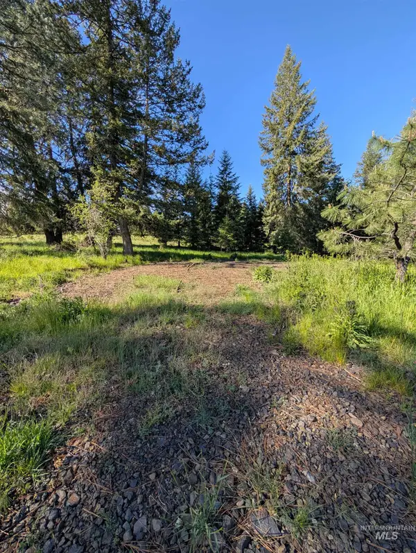 Parcel B Elk City Wagon Road, Stites, ID 83539