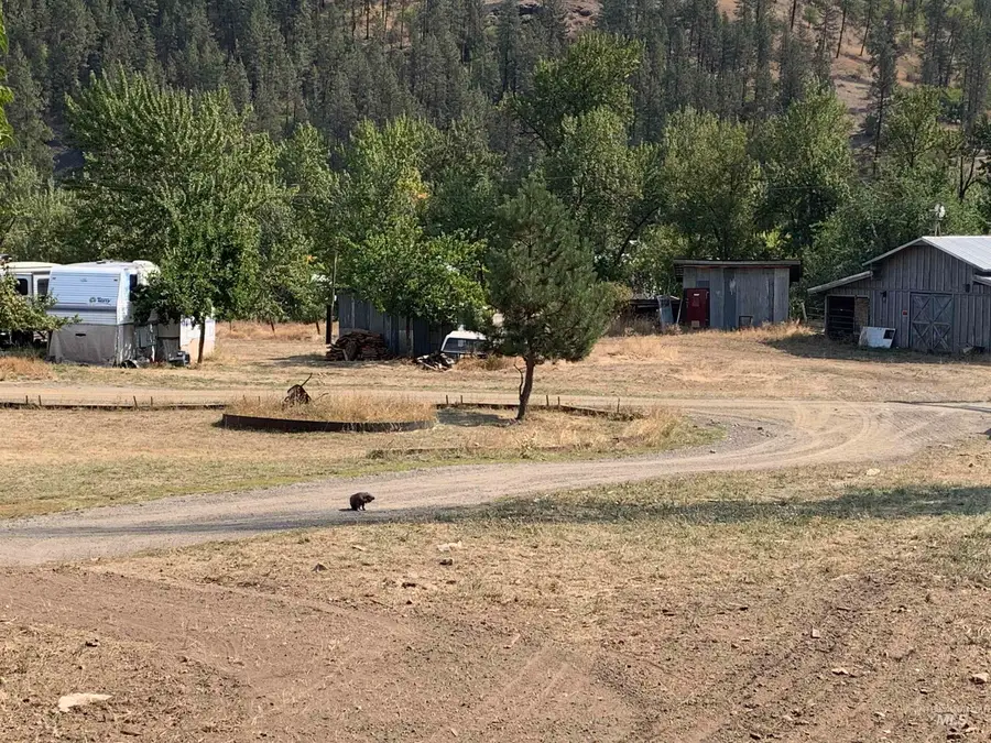 120 Three Bear Lane, Stites, ID 83552 - #3