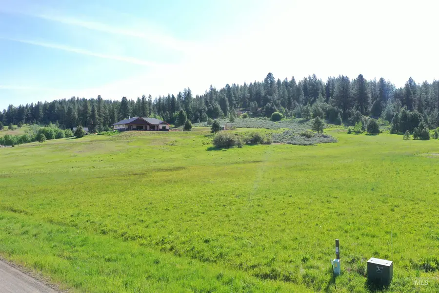 46 Chisum, Donnelly, ID 83615 - #3