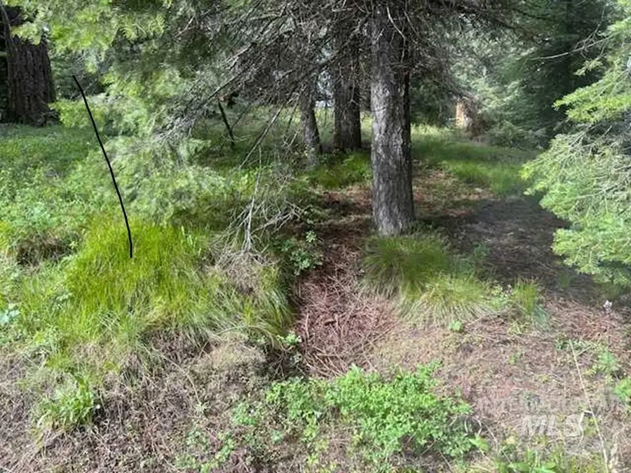 17 Andy Lane, Donnelly, ID 83615 - #2