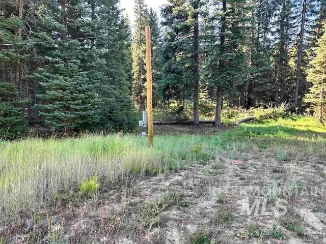17 Andy Lane, Donnelly, ID 83615 - #3
