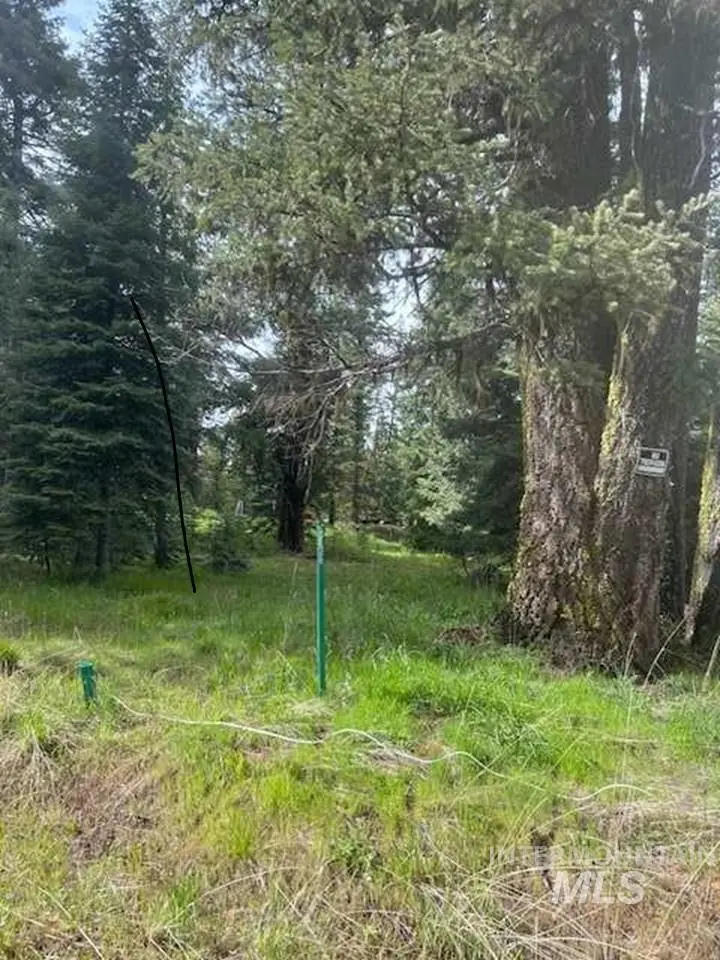 20 Andy Lane, Donnelly, ID 83615 - #1