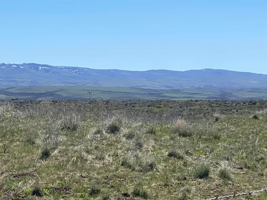 TBD Indian Valley Rd Parcel 3, Indian Valley, ID 83632 - #2
