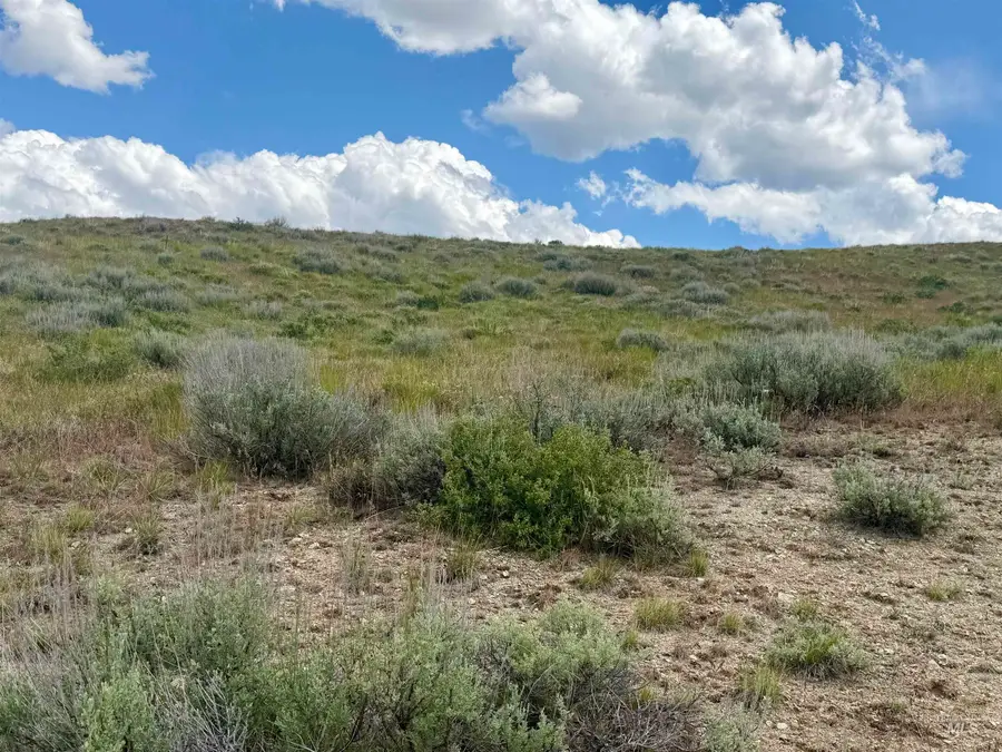 TBD Lot 12 Fairway Estates, Fairfield, ID 83327 - #2