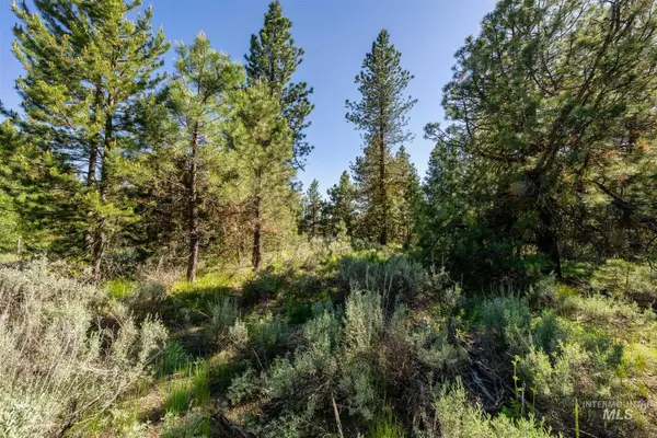 110 Fawnlilly, McCall, ID 83638