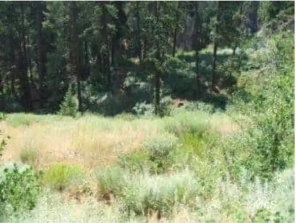 Lot 22 Crazy Woman Sub, Boise, ID 83716