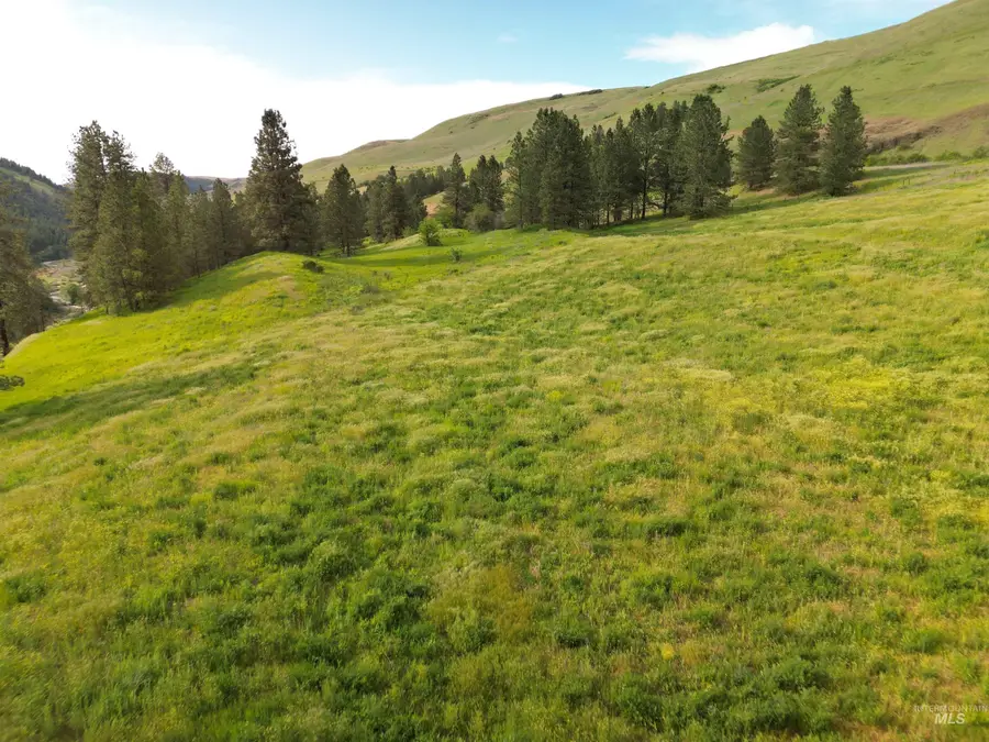 000 American Ridge Rd (parcel 5), Kendrick, ID 83537 - #2