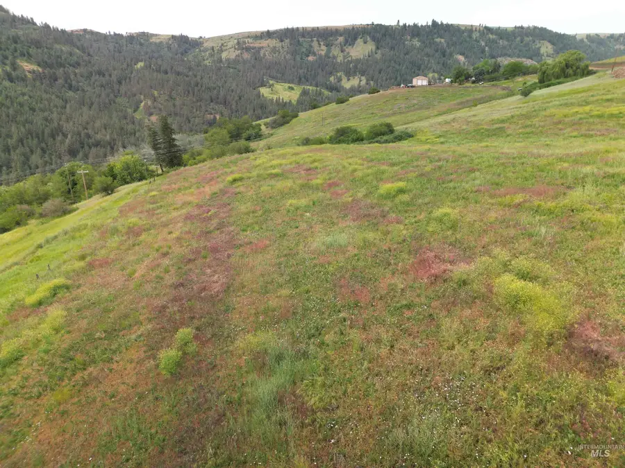 000 American Ridge Rd (parcel 10), Kendrick, ID 83537 - #2