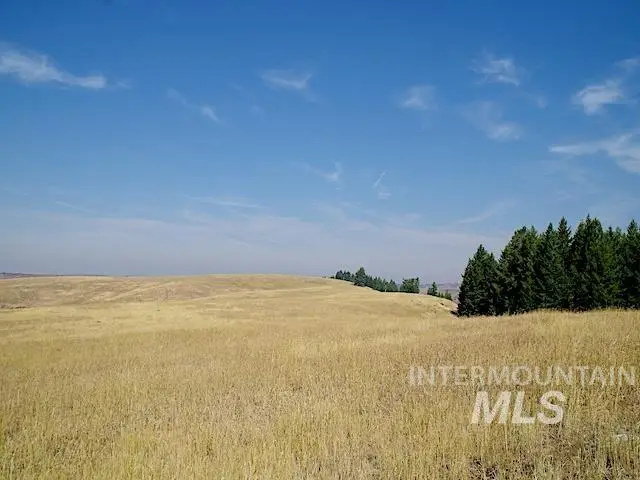 TBD Ditch Creek Road, Council, ID 83612 - #1