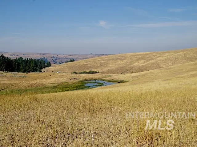 TBD Ditch Creek Road, Council, ID 83612 - #2