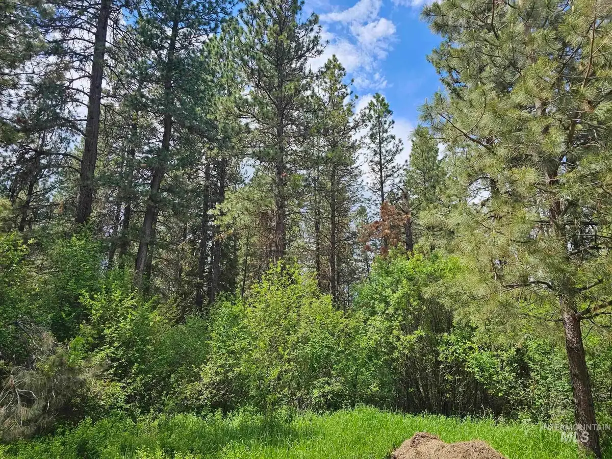 TBD Caseys Rd, Garden Valley, ID 83622 - #1