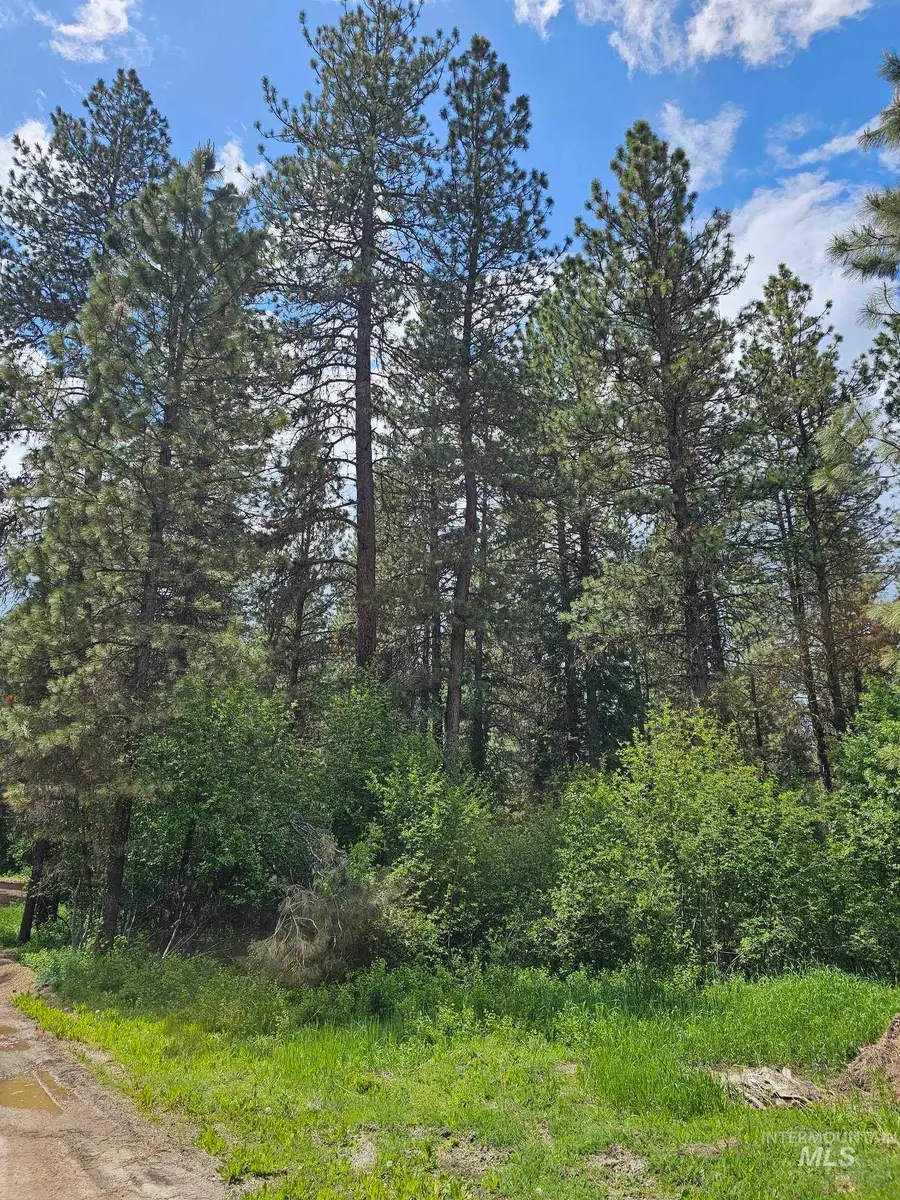 TBD Caseys Rd, Garden Valley, ID 83622 - #2