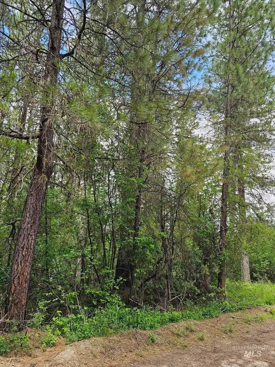 TBD Caseys Rd, Garden Valley, ID 83622 - #3