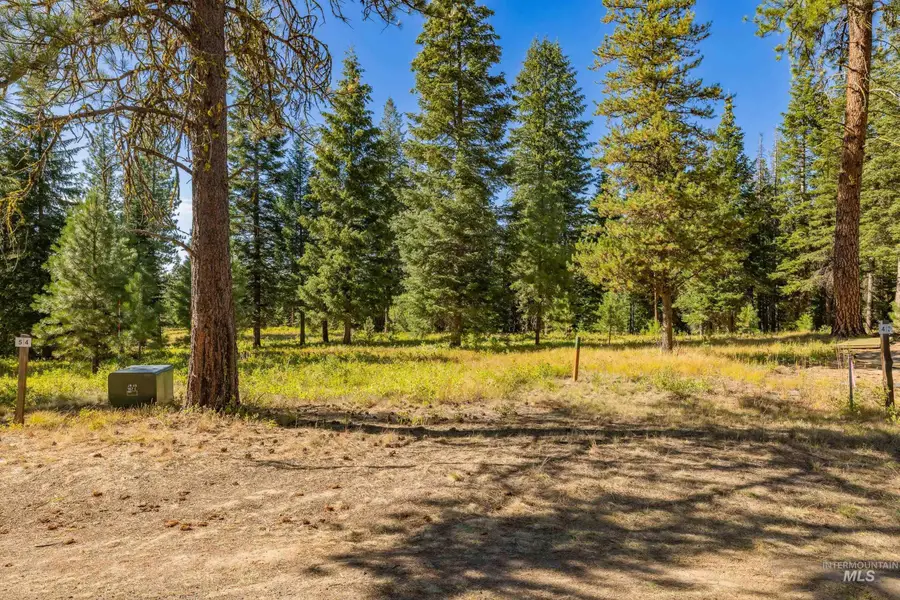 20 Vernon Court, McCall, ID 83638 - #3