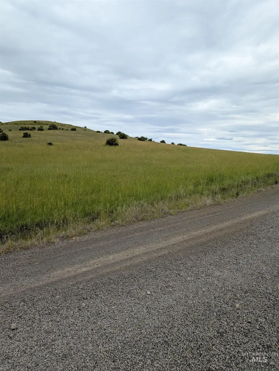 TBD Windrow Lane & Stillwater Road, Grangeville, ID 83539 - #2