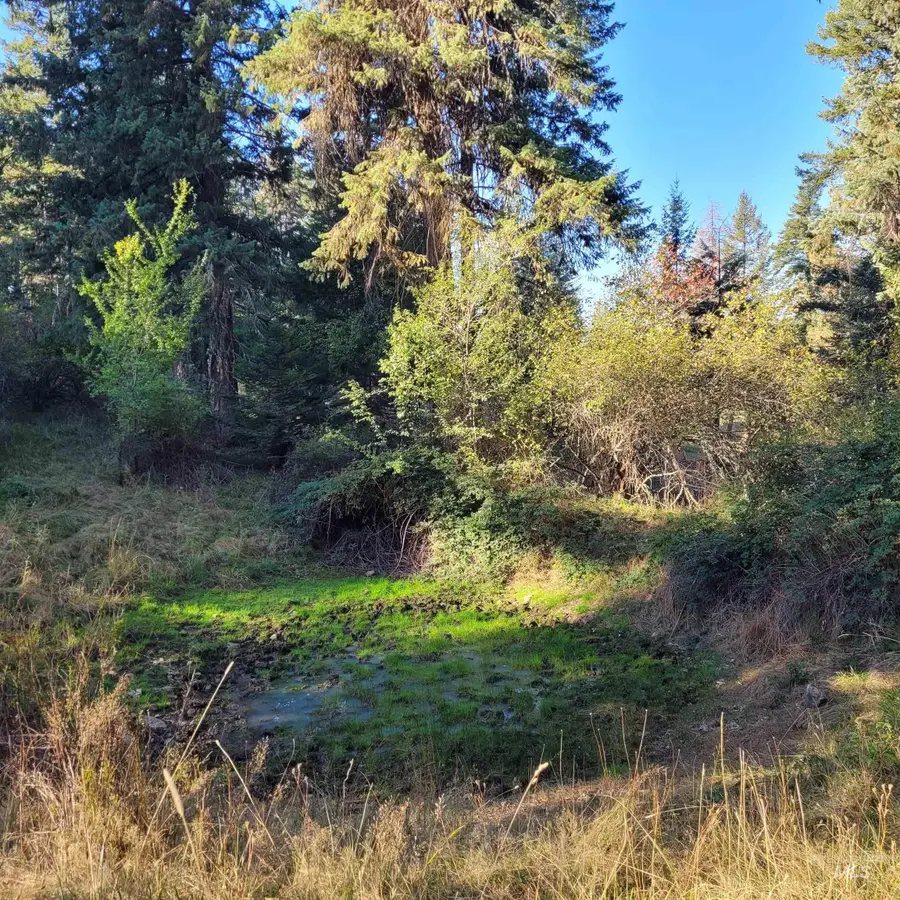 Parcel A Elk City Wagon Road, Clearwater, ID 83552 - #3