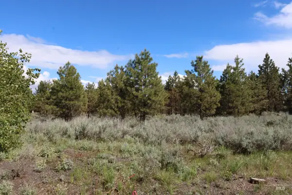 7 Bitterroot Ct, McCall, ID 83638