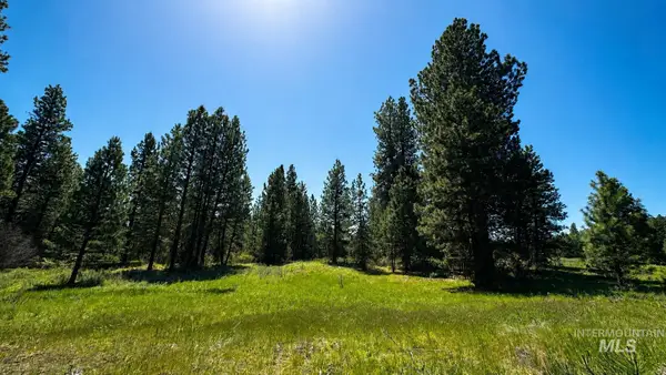 LOT 13 Nelsen Ave, Idaho City, ID 83631