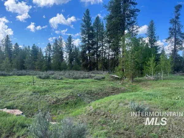 29 Fawnlilly Drive, McCall, ID 83638