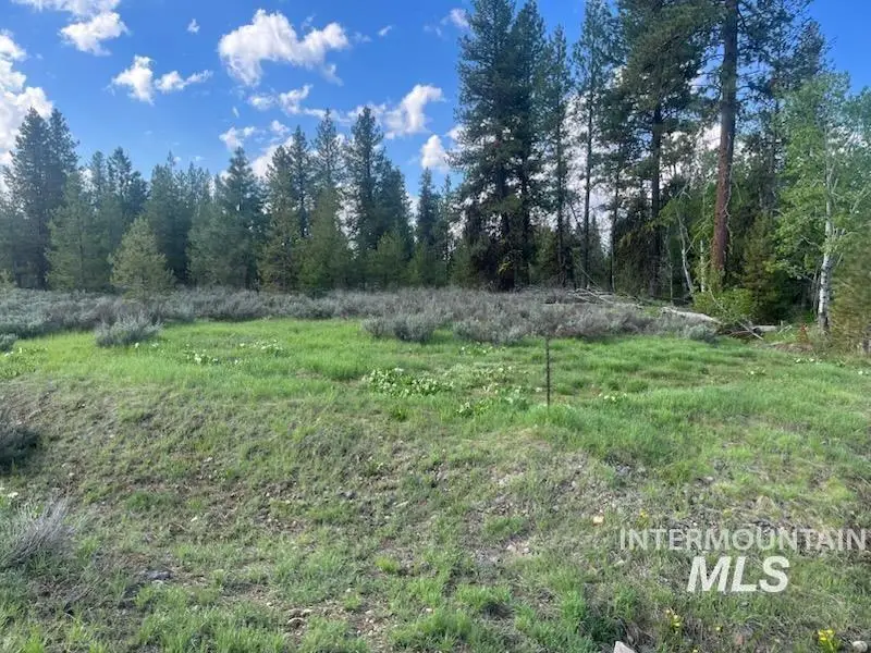 29 Fawnlilly Drive, McCall, ID 83638 - #2
