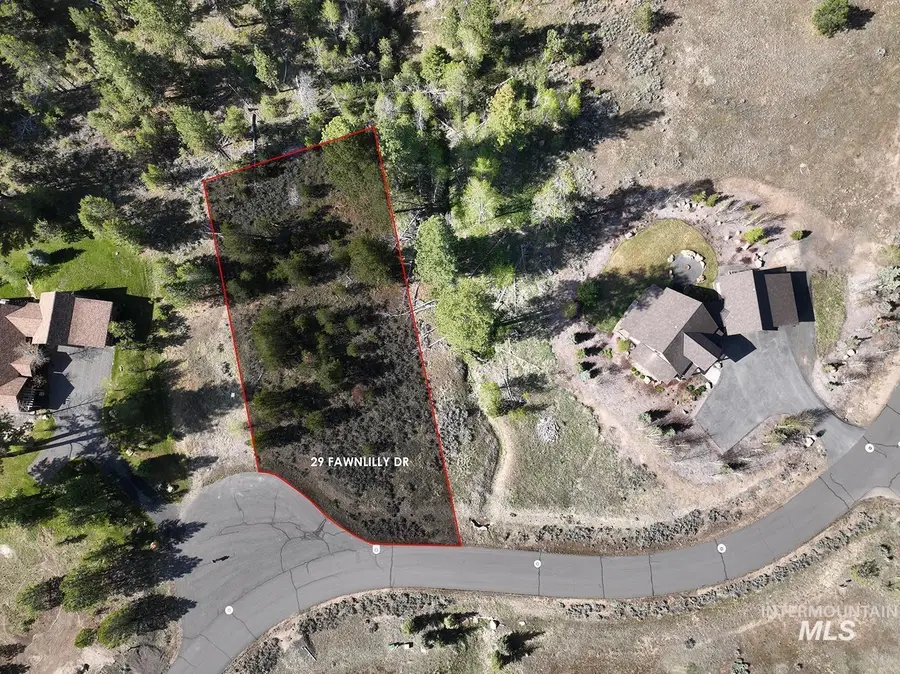 29 Fawnlilly Drive, McCall, ID 83638 - #3