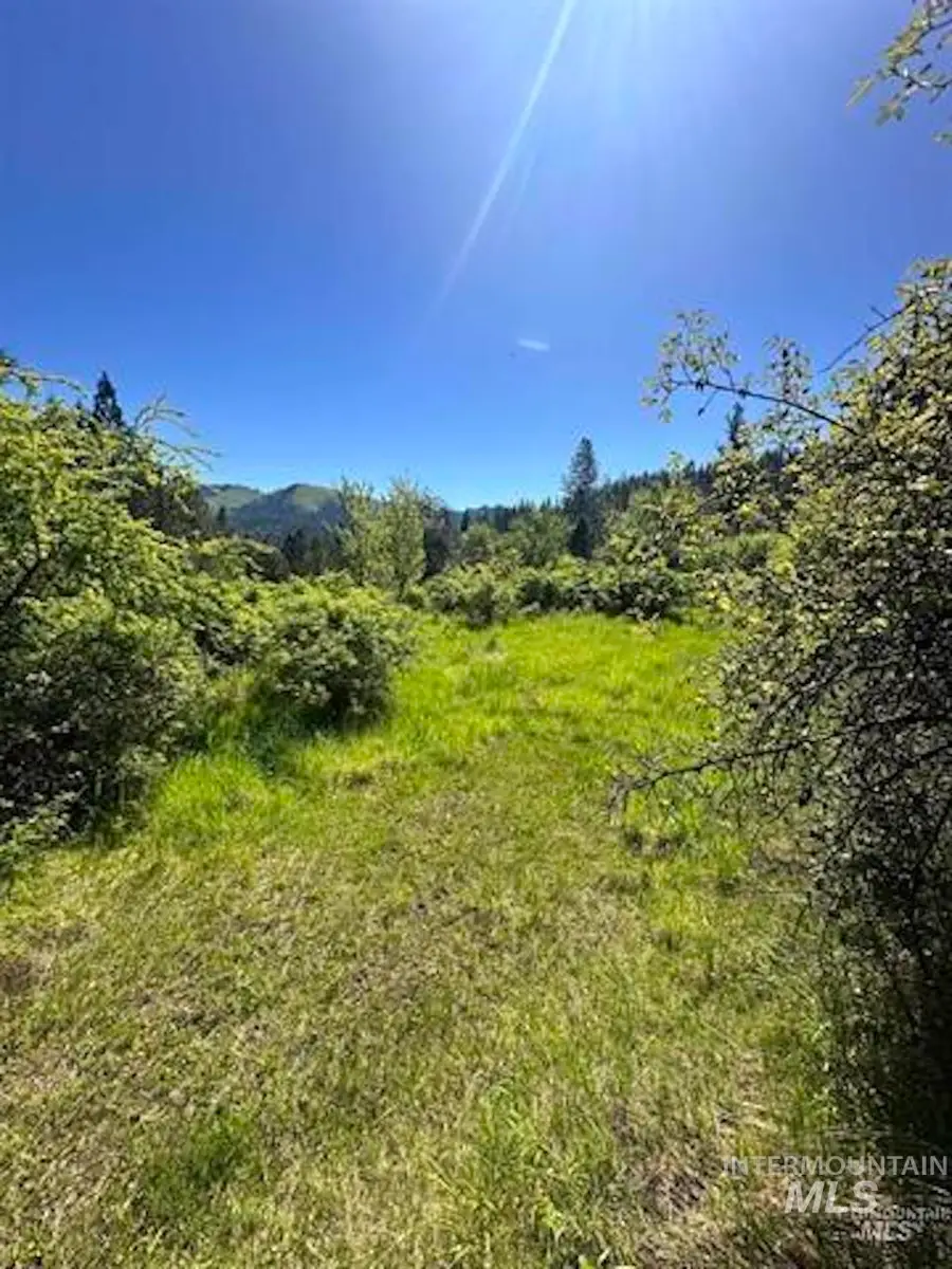 TBD River View Lane, Kamiah, ID 83536 - #2