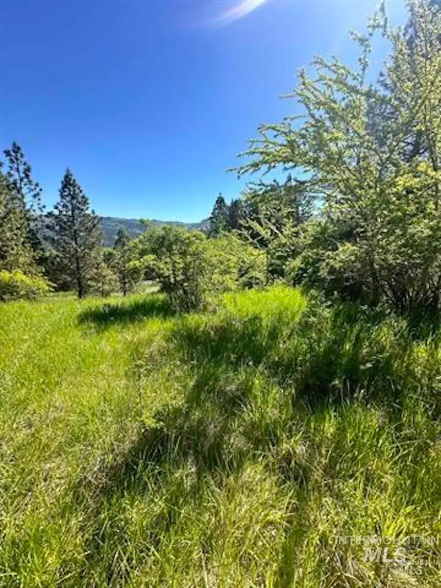 TBD River View Lane, Kamiah, ID 83536 - #3