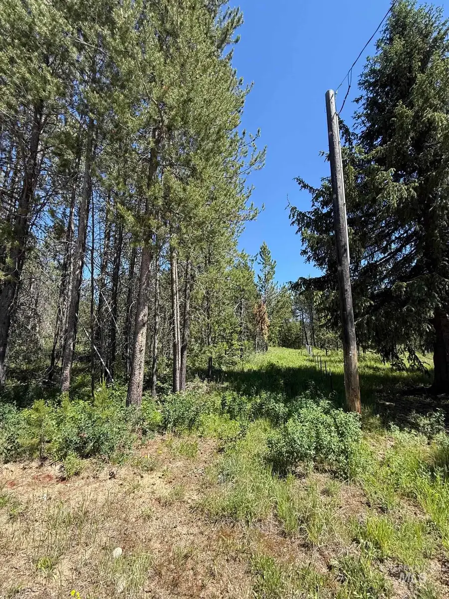 203 Angus Lane, Donnelly, ID 83615 - #3