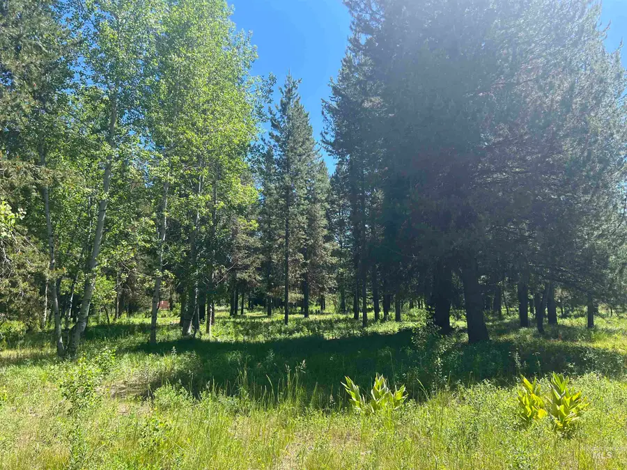 Lot 1 Chad Drive, McCall, ID 83638 - #2