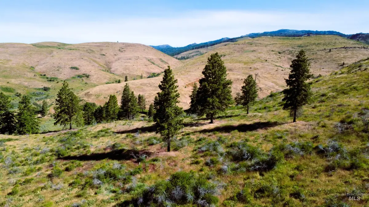 TBD Advent Gulch Rd., Cambridge, ID 83610 - #1