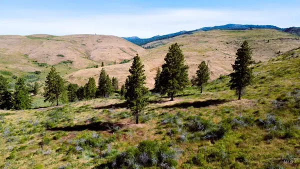 TBD Advent Gulch Rd., Cambridge, ID 83610