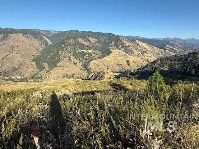 144 Chukar Run, Pollock, ID 83547 - #1