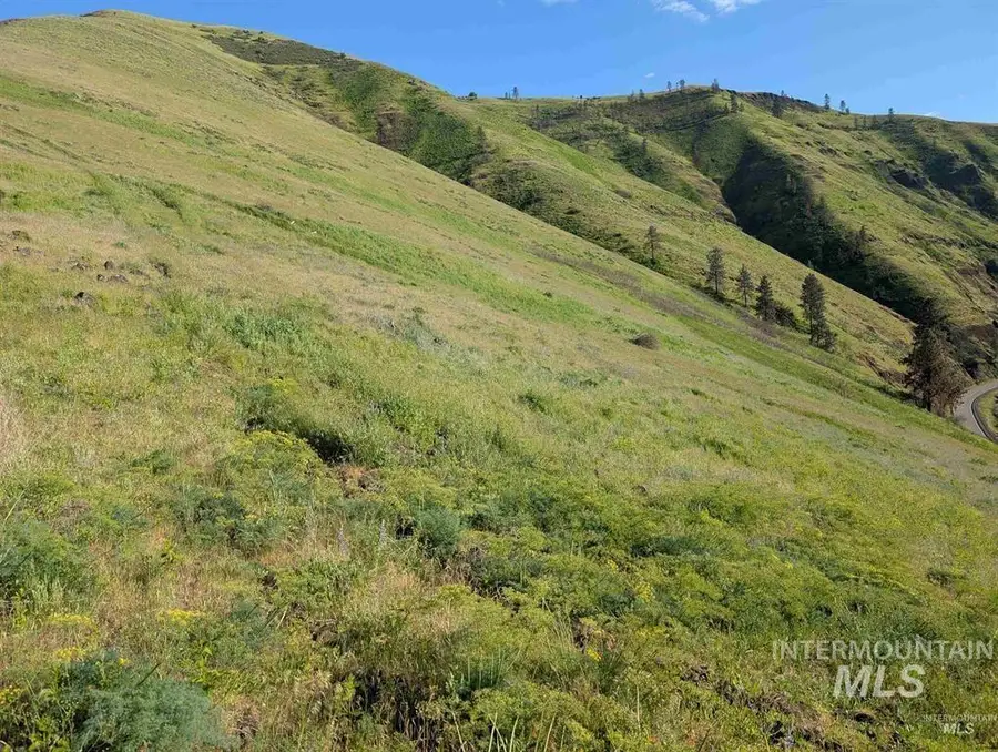 TBD Clearwater Drive, Juliaetta, ID 83535 - #2
