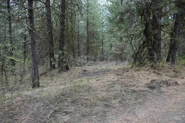 TBD Outlaw Trail, Banks, ID 83602