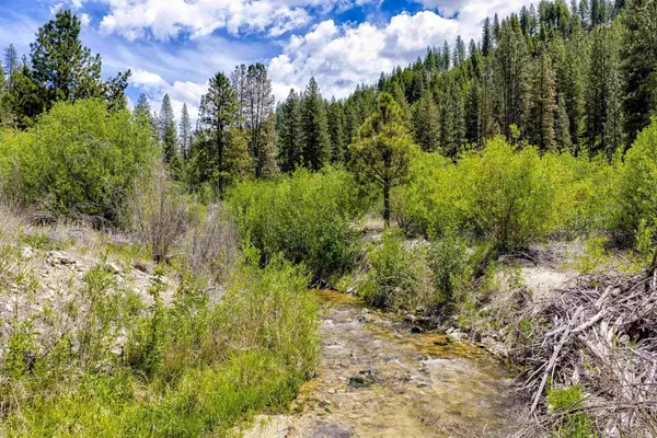 Napias Lot 4, Boise, ID 83716