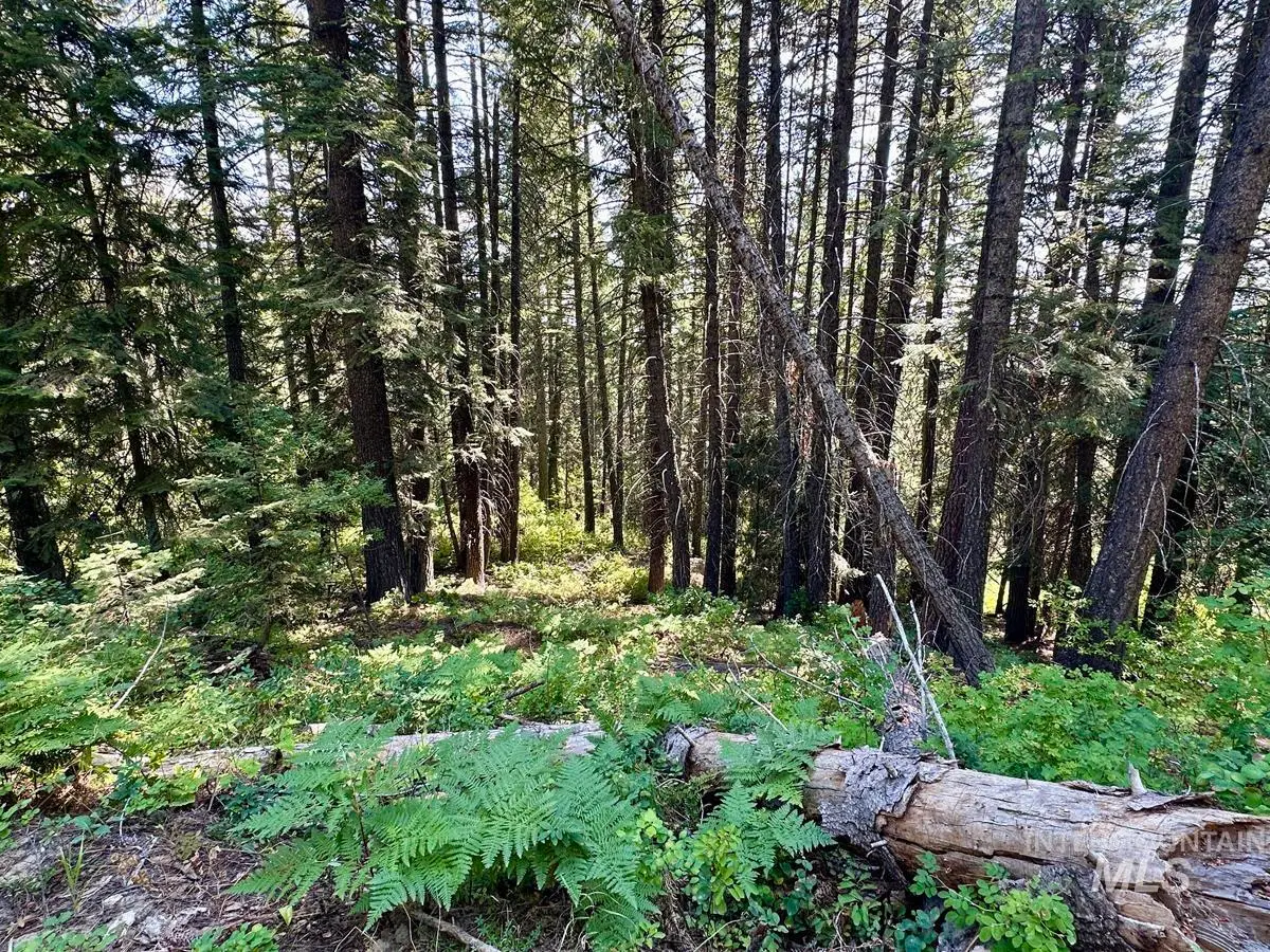 37 Arling Trail, Donnelly, ID 83615 - #1