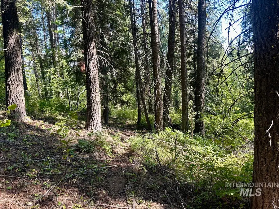 37 Arling Trail, Donnelly, ID 83615 - #3
