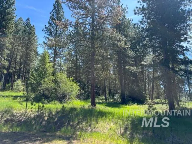 TBD Canyon Creek Way, New Meadows, ID 83654 - #1