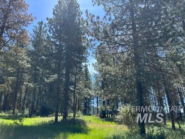 TBD Canyon Creek Way, New Meadows, ID 83654 - #2