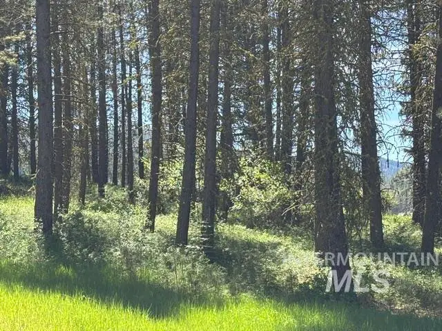 TBD Canyon Creek Way, New Meadows, ID 83654 - #3