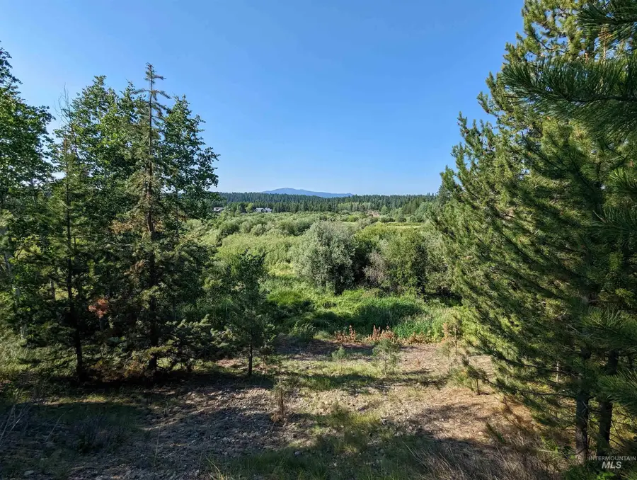 106 Saddle Ct., McCall, ID 83638 - #3