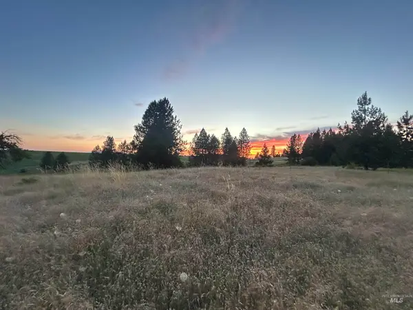 TBD Lot 1 Too Kush Road, Kooskia, ID 83539